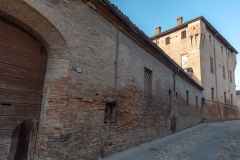 DSC5383