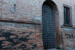 DSC5455